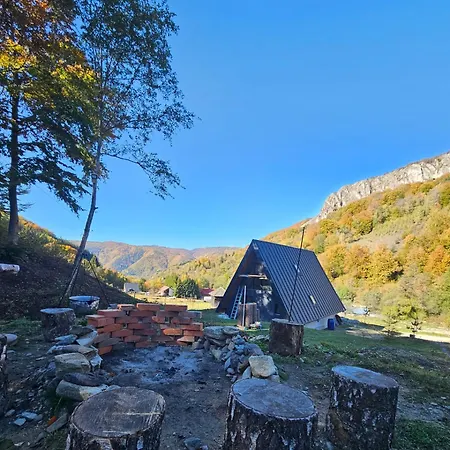 Chalet Charpatian Log *