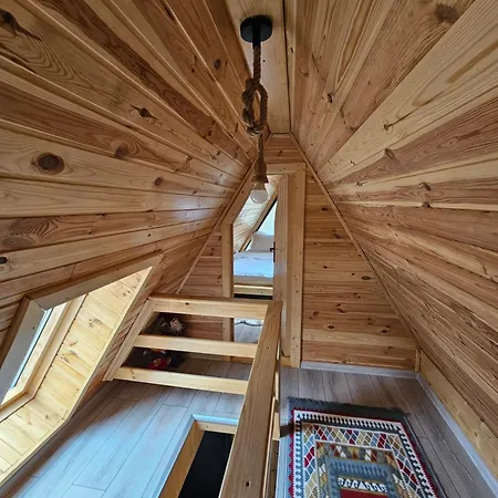 Chalet Charpatian Log Dragoslavele