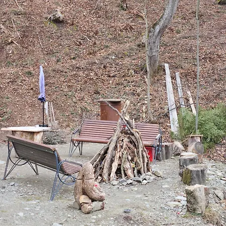 Charpatian Log *